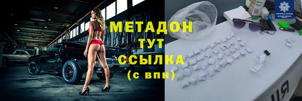 хмурый Пересвет