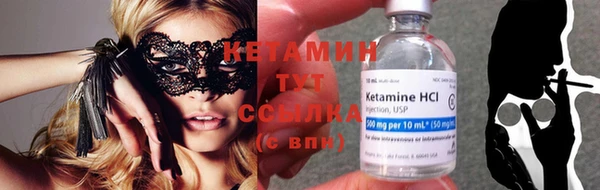 хмурый Пересвет