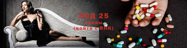 хмурый Пересвет