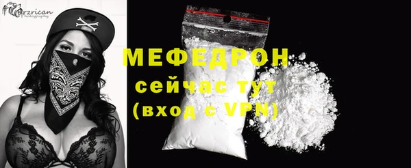 хмурый Пересвет