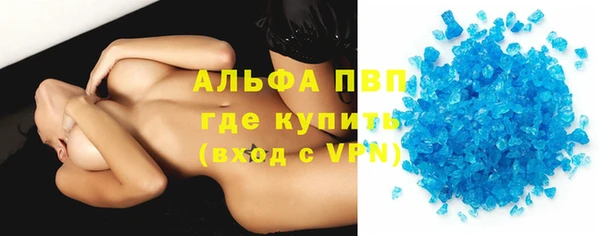 хмурый Пересвет