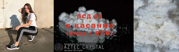 хмурый Пересвет