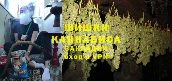 ГАЛЛЮЦИНОГЕННЫЕ ГРИБЫ Покачи