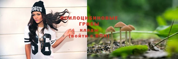 ГАЛЛЮЦИНОГЕННЫЕ ГРИБЫ Покачи