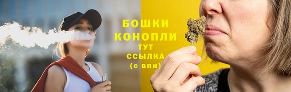 хмурый Пересвет