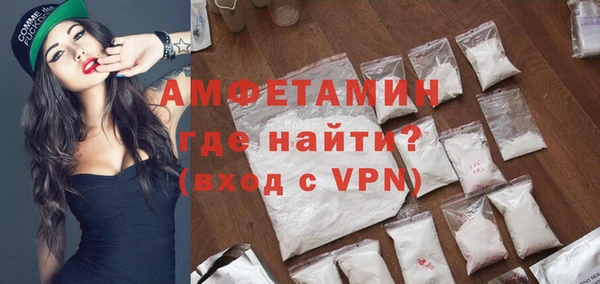 хмурый Пересвет