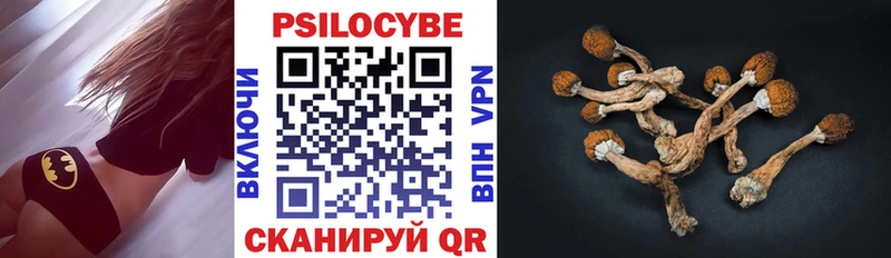 omg ССЫЛКА  наркошоп  Мегион  Псилоцибиновые грибы мицелий 