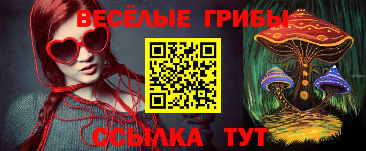 Псилоцибиновые грибы мицелий  Мегион 